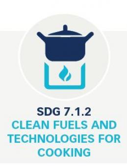 SDG 7.1.2 Clean Fuels and Technologies for Cooking Dataset