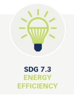 SDG 7.3 Energy Efficiency Dataset