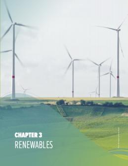 2023 Tracking SDG7 Chapter 3 Renewable Energy