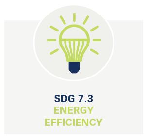 SDG 7.3 Energy Efficiency Dataset SDG 7.3 Energy Efficiency Dataset