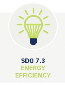 SDG 7.3 Energy Efficiency Dataset SDG 7.3 Energy Efficiency Dataset